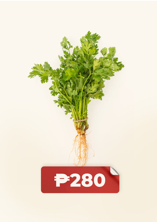 Celery (per kg)