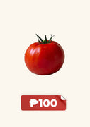 Tomato Premium (per kg)