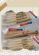 Natural Biodegradable Bamboo Toothbrush with 10g Toothpaste. (30 pcs.)