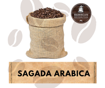 Sagada Arabica