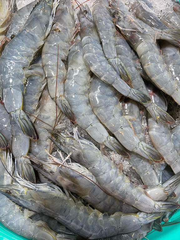 Suahe Shrimp